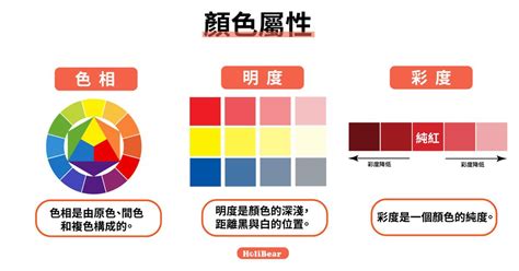 色彩學入門|【色彩學重點入門】一次搞懂對比 / 互補色、彩度明度。